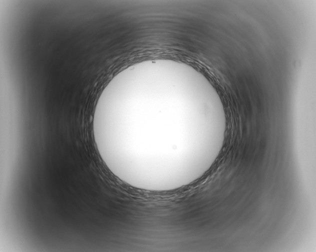 X0000099400770200805081240