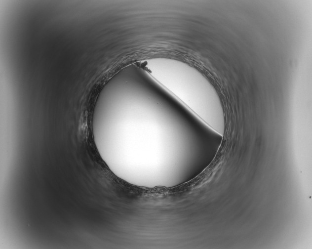 X0000099400771200805081240