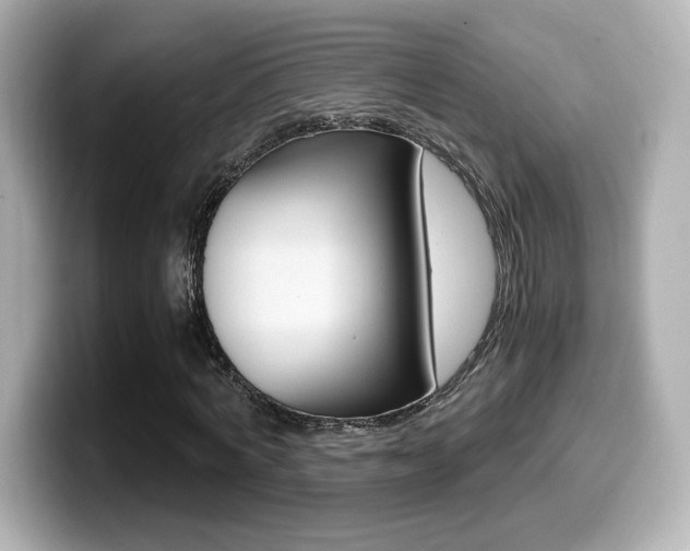 X0000099400772200805081240
