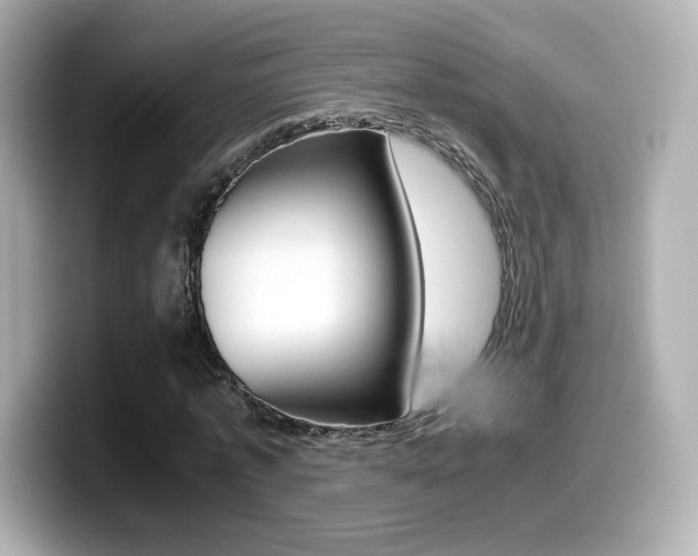 X0000099400773200805081240