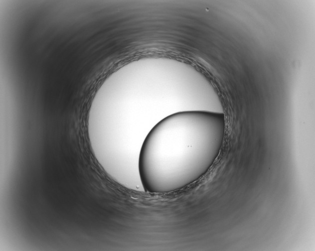 X0000099400774200805081240