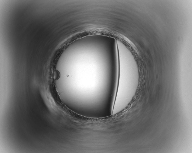 X0000099400775200805081240