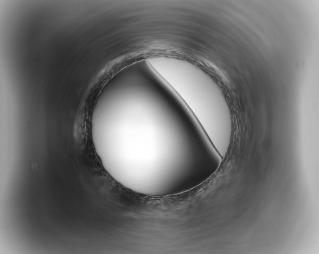 X0000099400776200805081240
