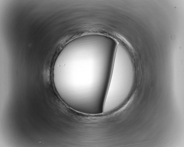X0000099400777200805081240