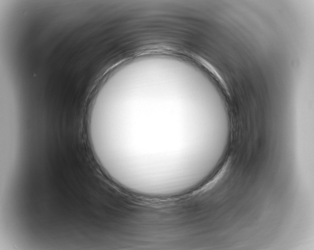 X0000099400778200805081240