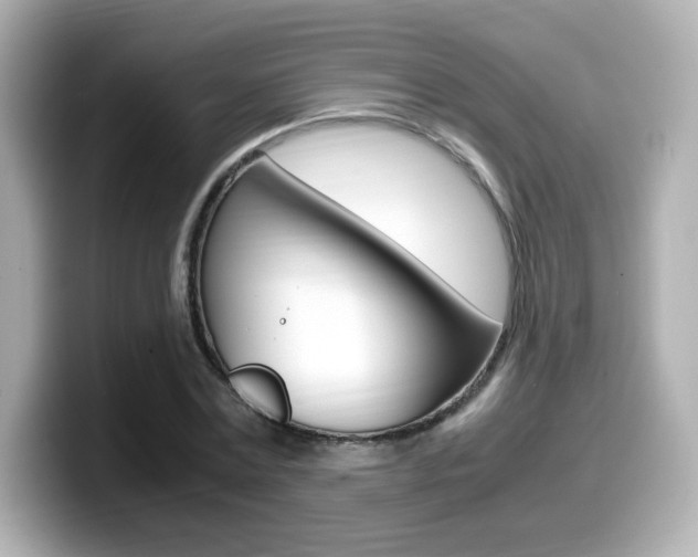 X0000099400779200805081240