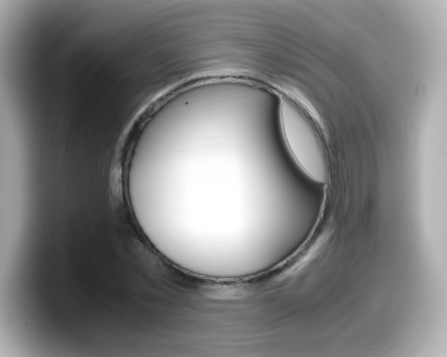 X0000099400781200805081240