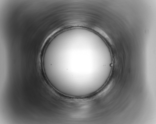 X0000099400782200805081240
