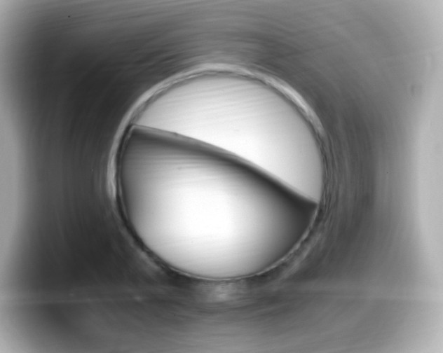 X0000099400791200805081240