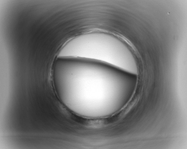 X0000099400793200805081240