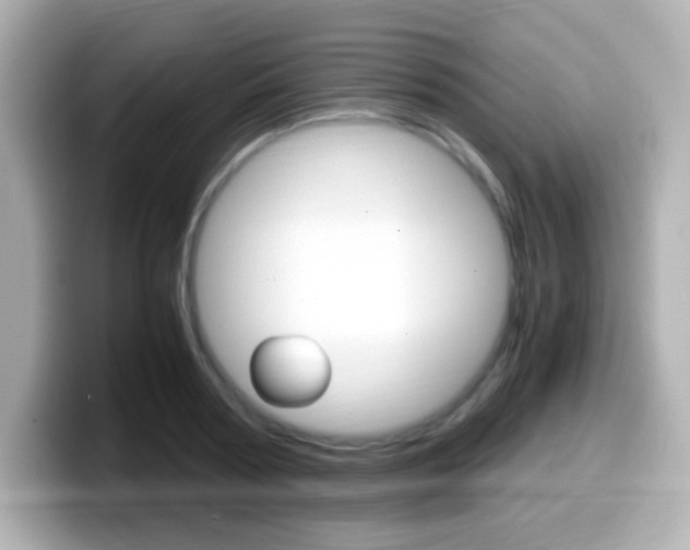 X0000099400794200805081240