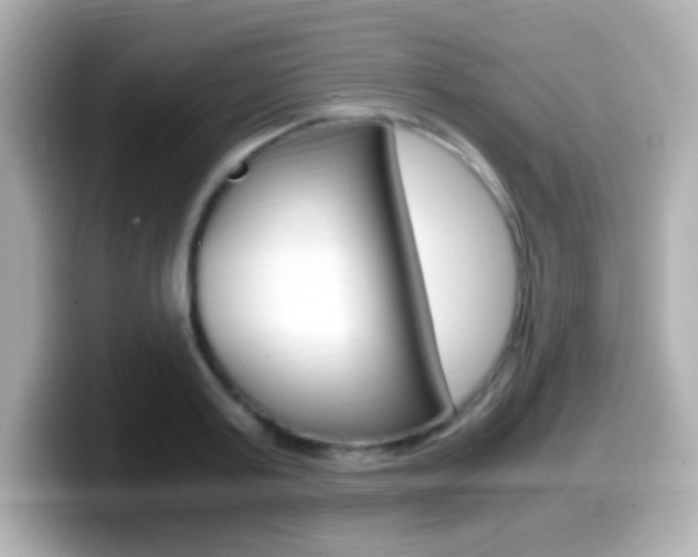 X0000099400795200805081240