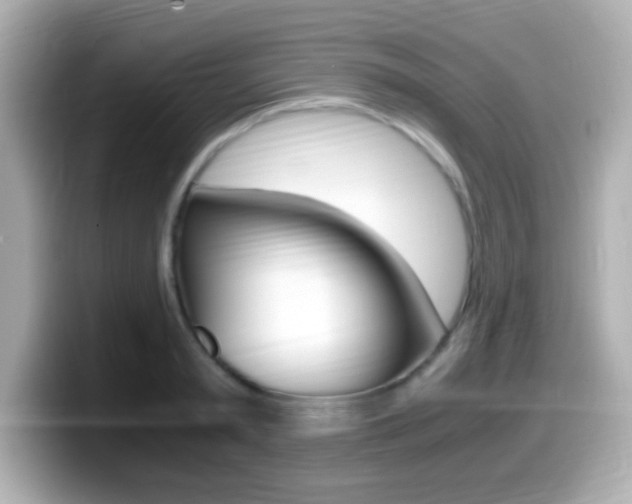 X0000099400797200805081240