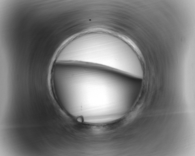 X0000099400799200805081240