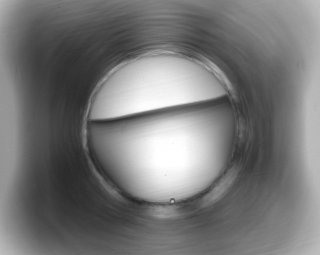 X0000099400802200805081240