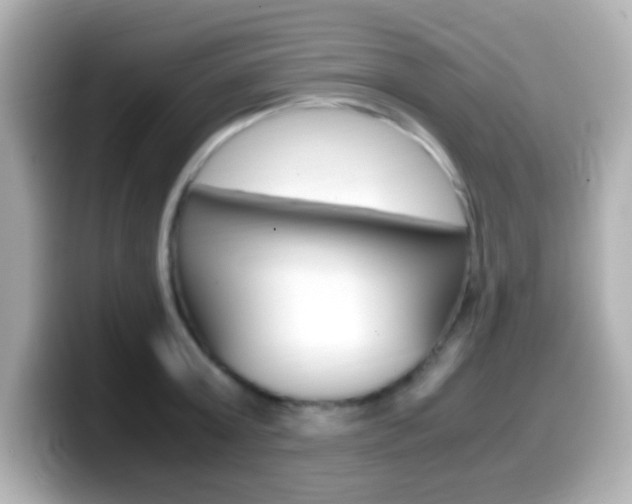 X0000099400803200805081240