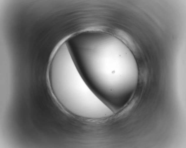 X0000099400804200805081240