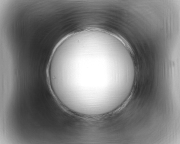 X0000099400814200805081240