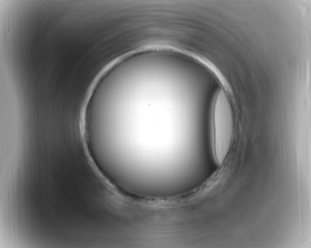 X0000099400815200805081240