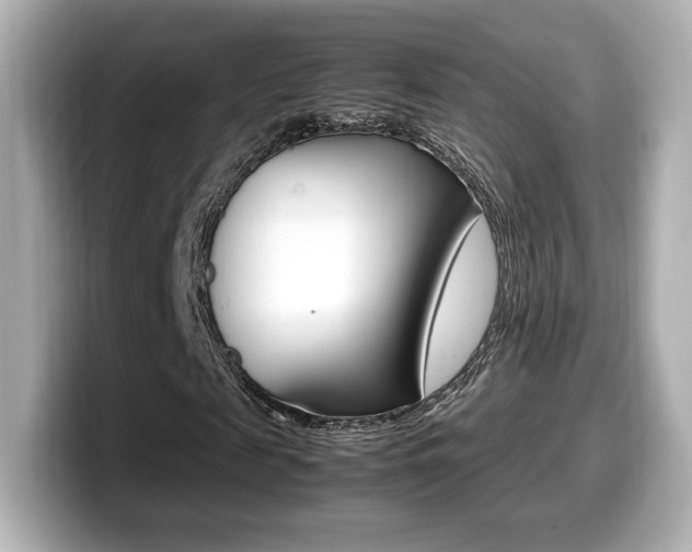 X0000099400817200805081239