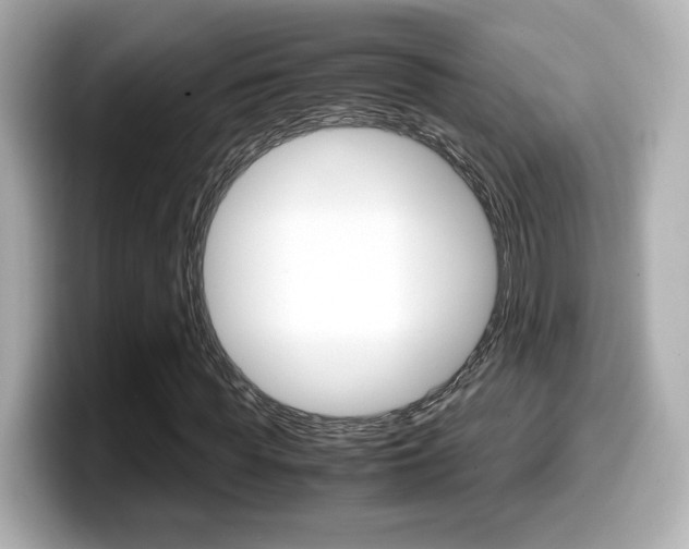 X0000099400819200805081239