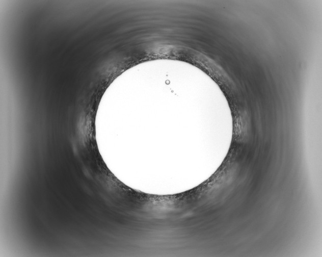 X0000099400820200805081239