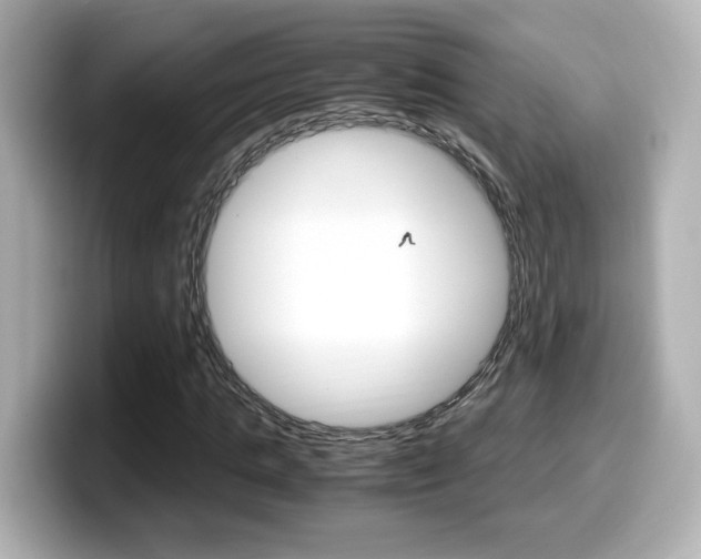 X0000099400821200805081239