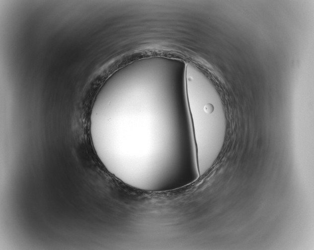 X0000099400822200805081239
