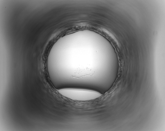 X0000099400823200805081239