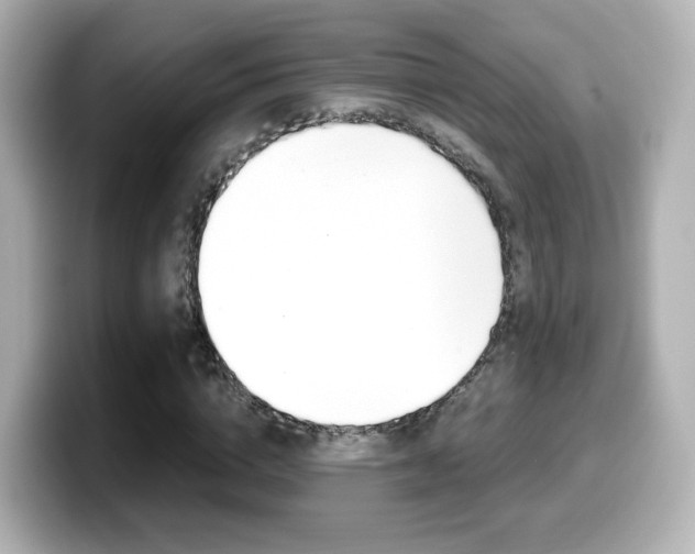 X0000099400824200805081239