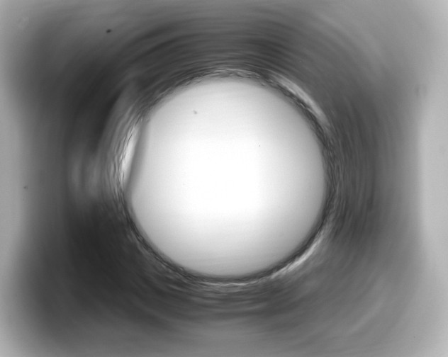 X0000099400825200805081239