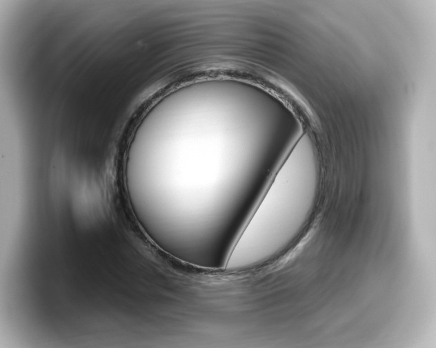 X0000099400826200805081239