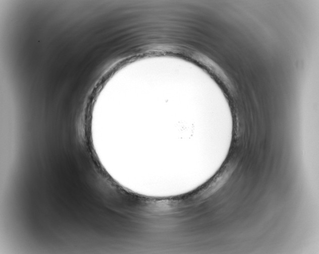 X0000099400828200805081239