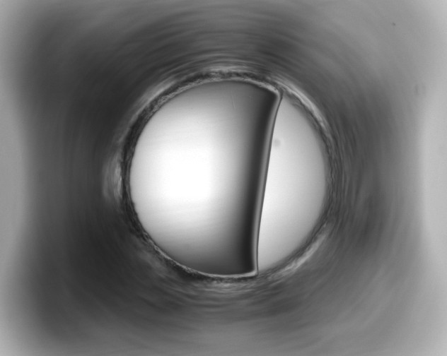 X0000099400829200805081239