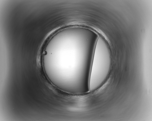 X0000099400830200805081239