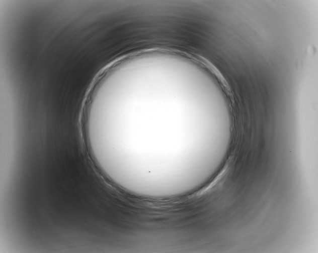 X0000099400831200805081239