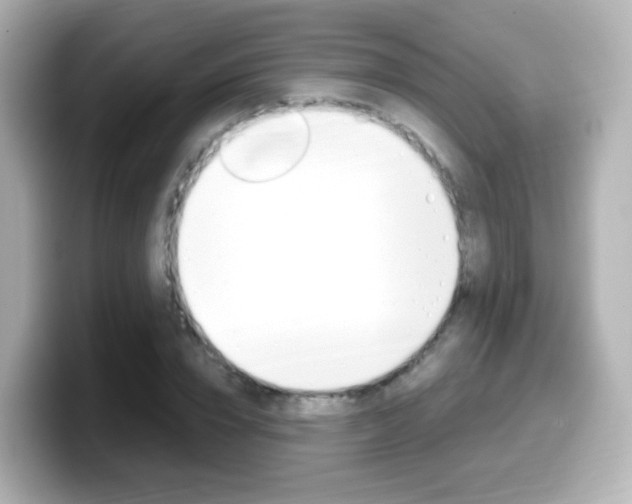 X0000099400832200805081239