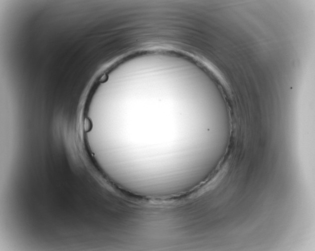 X0000099400840200805081240