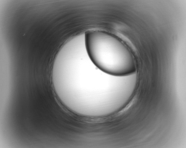 X0000099400841200805081240
