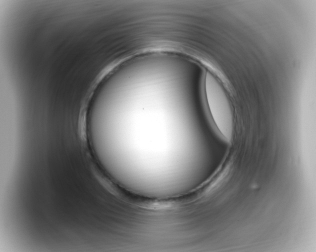 X0000099400842200805081240