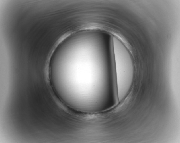 X0000099400850200805081240