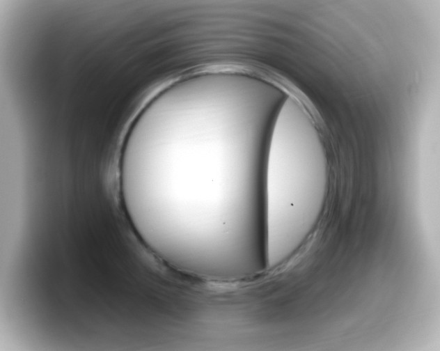 X0000099400852200805081240