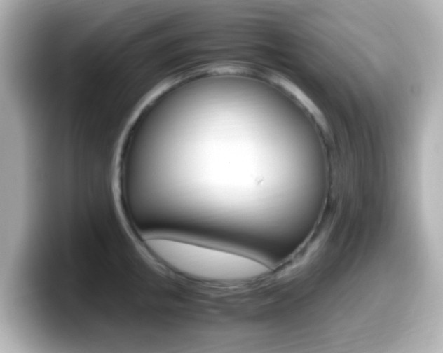 X0000099400853200805081240