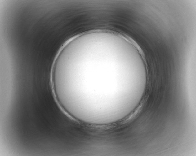 X0000099400855200805081240