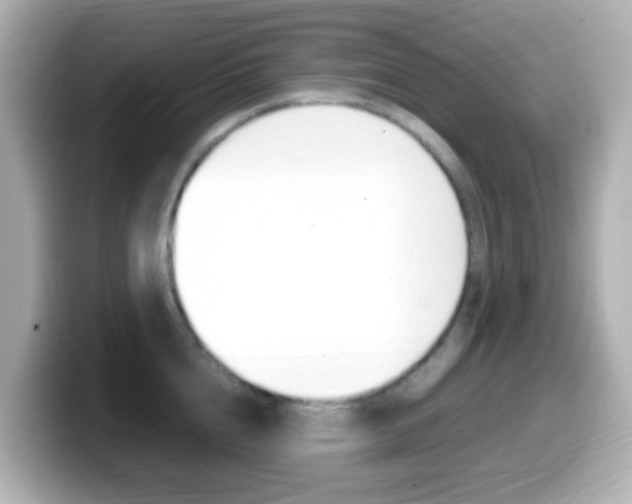 X0000099400856200805081240