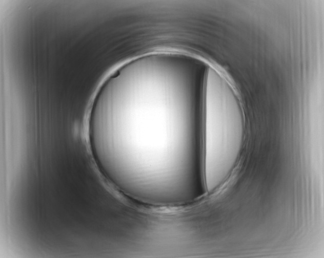 X0000099400862200805081240