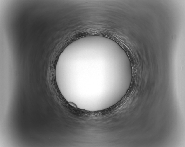 X0000099400865200805081239