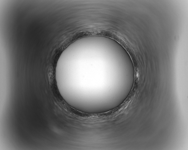 X0000099400867200805081239