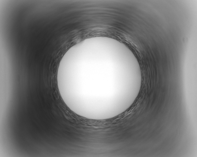 X0000099400868200805081239