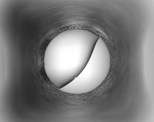 X0000099400869200805081239